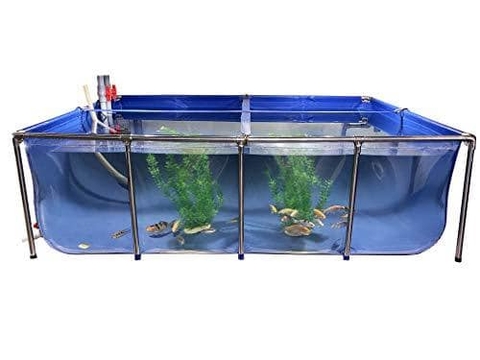 Bể nuôi cá koi có ngăn lọc 1 mặt kính trong | Mai Sơn - Bể Bơi ...