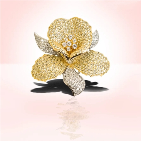 Trâm, Ghim Cài Áo HimHip Hoa Lan Sang Trọng HKCC Đính Đá Phale 4,6cm