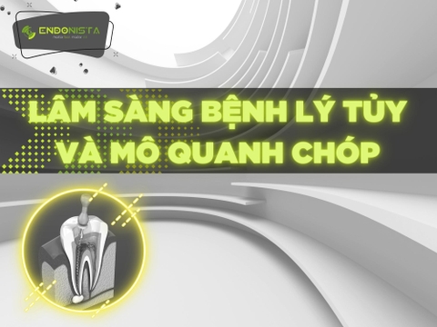 LÂM SÀNG BỆNH LÝ TỦY VÀ MÔ QUANH CHÓP