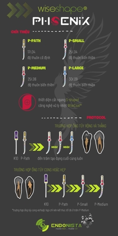 Trâm nội nha WiseShape® Phoenix