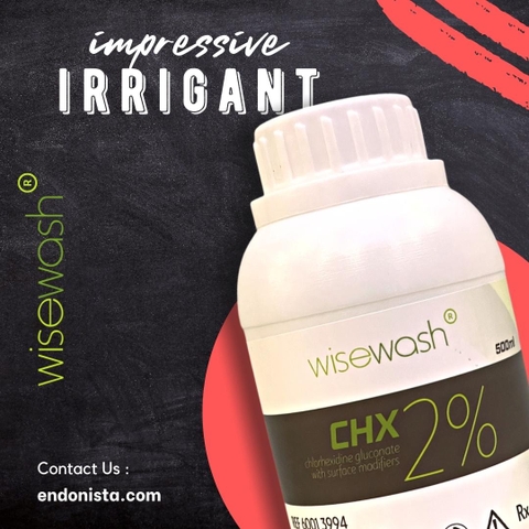 Dung dịch bơm rửa nội nha WiseWash® CHX 2% (500ml)
