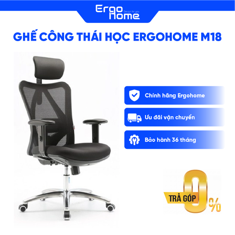 Ghế Công Thái Học Ergohome M18