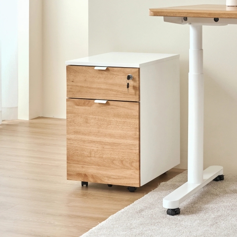 Hộc tủ di động 2 ngăn Alexa