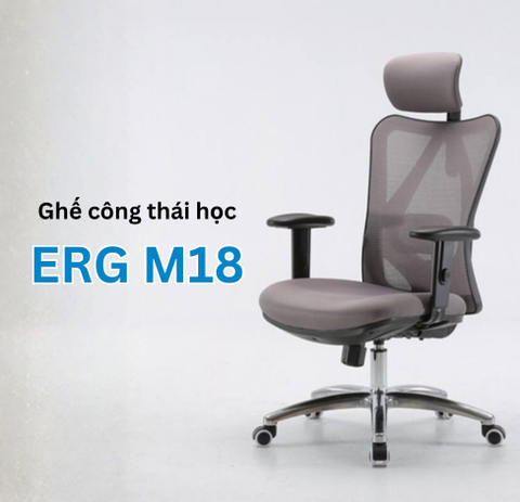 Ghế Công Thái Học Ergohome ERG-M18