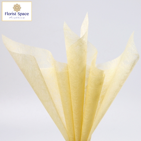 Vân Lông Fabric 65gsm-GSO