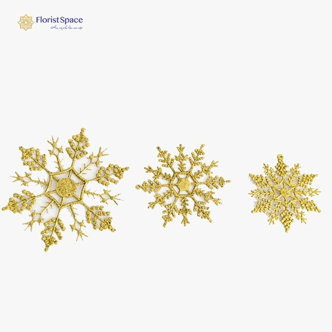 Bông Tuyết 2D - MC - GSO