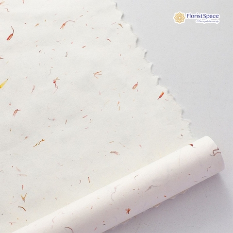 Giấy Kraft Xé Tay Họa Tiết 002