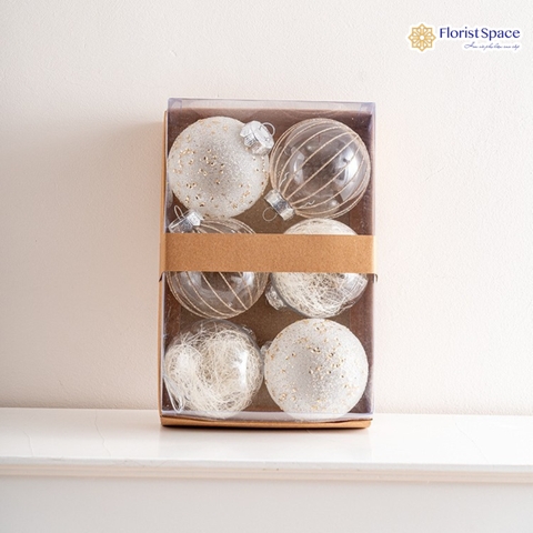 Hộp Châu Trong suốt 3 chi tiết -  6 Cái - 8cm - MC