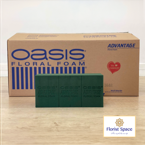 Xốp cắm hoa OASIS Advantage - GSO