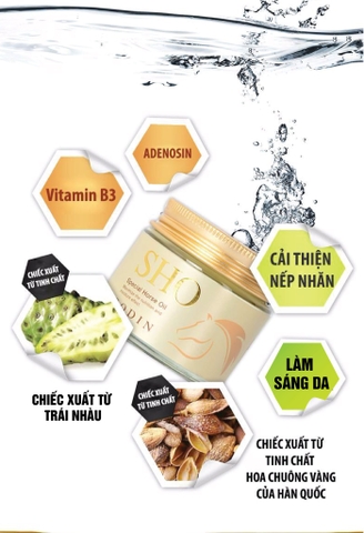 Kem dưỡng chống lão hóa SHO CREAM