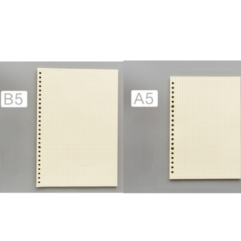 Ruột Giấy B5 Caro