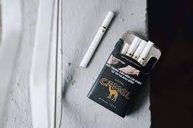 Thuốc Lá Camel - Điếu Nhỏ Compact