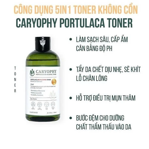 Toner Ngừa Mụn Kiềm Dầu Giảm Thâm Caryophy Portulaca Toner 300ml
