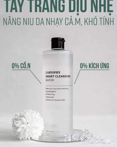 Nước Tẩy Trang Caryophy Smart Cleansing Water 500ml