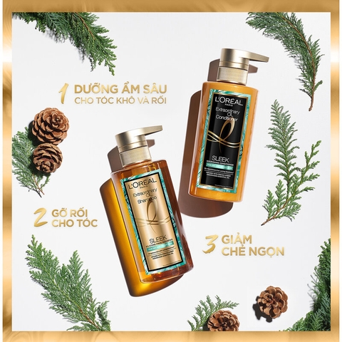 Dầu gội dầu xả dưỡng tóc suôn mượt tóc cao cấp L'Oreal Paris Extraordinary Oil Smooth 440ml