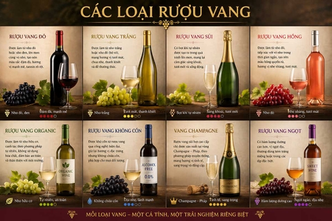 Các Loại Rượu Vang Nổi Tiếng: Phân Loại Và Hướng Dẫn Chọn Vang