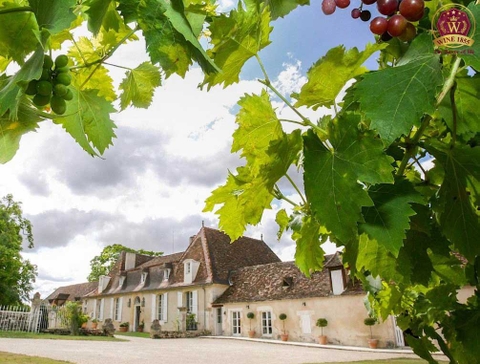 Các nhà máy sản xuất rượu vang của Pháp