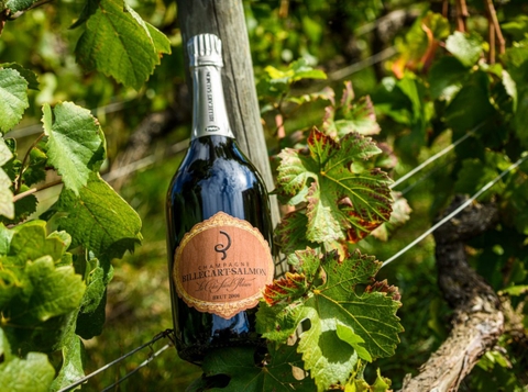 Hương Vị Tinh Tế Tại Champagne Billecart-Salmon Le Clos Saint-Hilaire Brut
