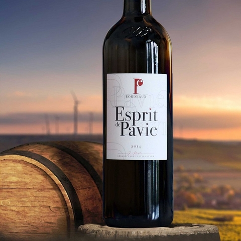 Những đặc trưng của rượu vang Bordeaux Pháp