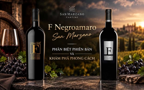F Negroamaro San Marzano: Phân Biệt Phiên Bản Và Khám Phá Phong Cách