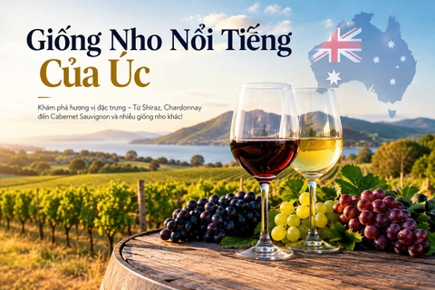 Giống Nho Nổi Tiếng Của Úc