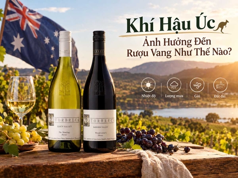 Khí Hậu Úc Ảnh Hưởng Đến Rượu Vang Như Thế Nào?