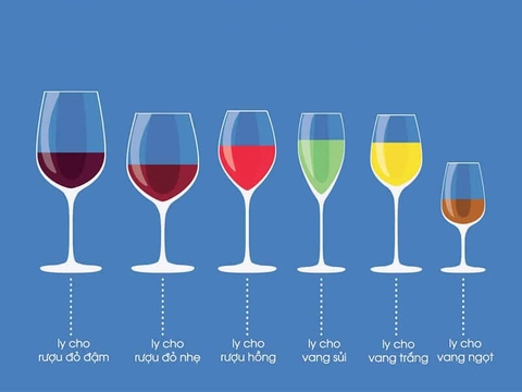 Cách chọn và sử dụng ly rượu vang Ý đúng cách