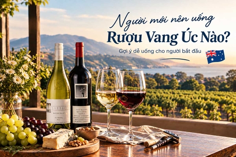 Người Mới Nên Uống Rượu Vang Úc Nào?