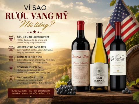 Vì Sao Rượu Vang Mỹ Nổi Tiếng?
