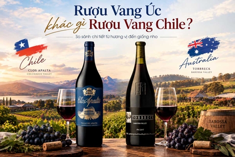 Rượu Vang Úc Khác Gì Rượu Vang Chile?