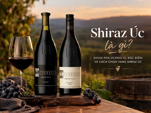 Shiraz Úc Là Gì?