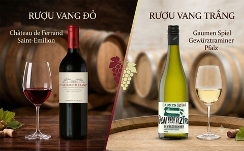 Sự Khác Biệt Giữa Rượu Vang Đỏ Và Rượu Vang Trắng: Từ A-Z