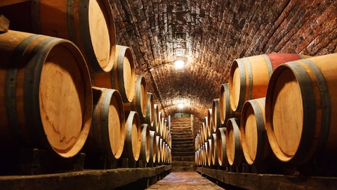 Tầm quan trọng của thùng gỗ sồi trong quá trình chế biến rượu vang Pháp