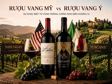 Rượu Vang Mỹ Khác Gì Rượu Vang Ý