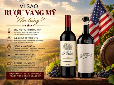 Vì Sao Rượu Vang Mỹ Nổi Tiếng?