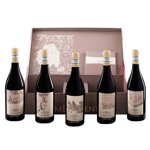 Rượu Vang Ý Domini Veneti Amarone Collection – Bộ 5 Chai Amarone