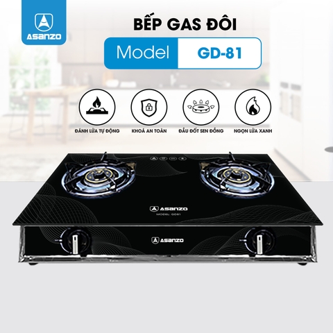 BẾP GAS ĐÔI GD81