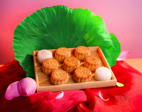 Bánh Trung Thu Yến Sào Khánh Hòa Sanest Mooncake 2025 - Hộp quà cao cấp 06 Bánh 200g.