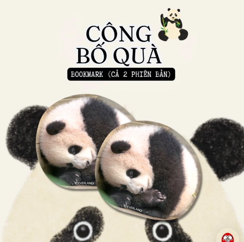 Fubao toàn trí (Phiên bản 2)