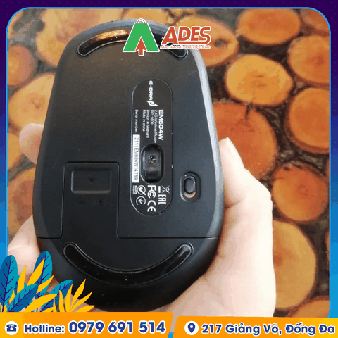 Chuột không dây Edra EM604W