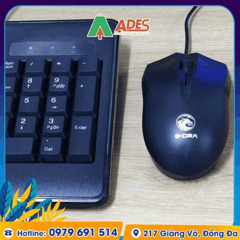 Bộ phím chuột Edra EK501 / EM601 V2