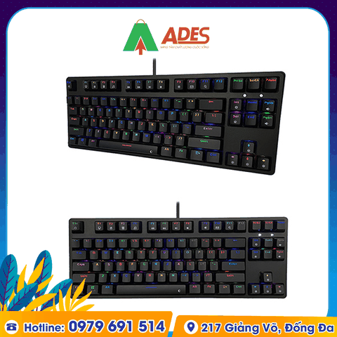 Bàn phím cơ Edra EK387L RGB