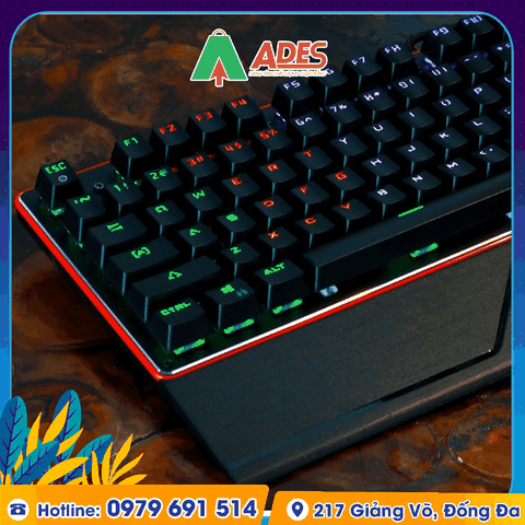 Bàn phím cơ Edra EK308