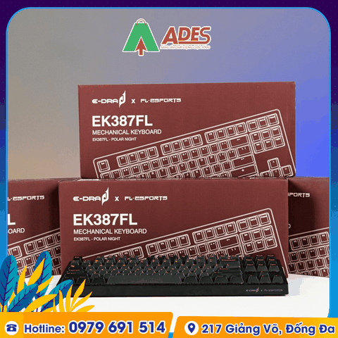 Bàn phím cơ Edra EK387FL Polar Night