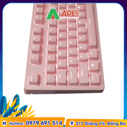 Bàn phím cơ Edra EK387L Pink Hồng