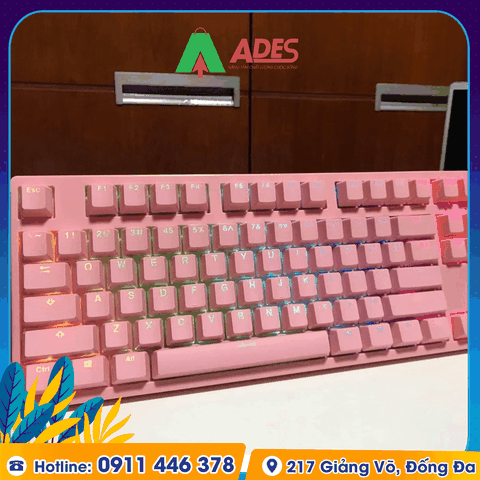 Bàn phím cơ AKKO 3087S-Pink RGB (Akko sw)