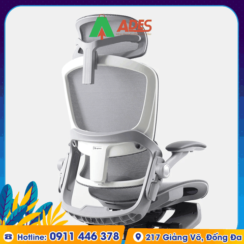 Ghế công thái học Epione Easy Chair