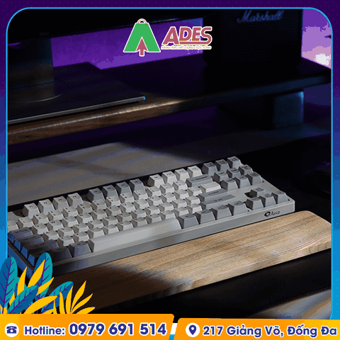 Kê tay gỗ Me Tây HyperWork