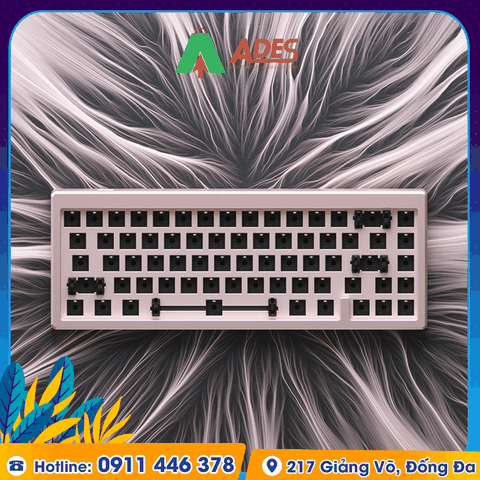 KIT bàn phím cơ AKKO MOD005