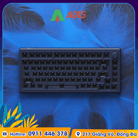 KIT bàn phím cơ AKKO MOD007
